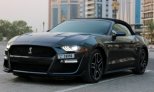 Gray Ford Mustang Shelby GT Convertible V8 2019 for rent in Sharjah 6