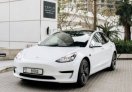 White Tesla Model 3 Standard Plus 2022 for rent in Dubai 1