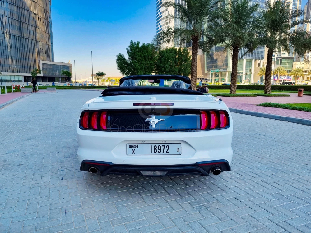White Ford Mustang Shelby GT Kit Convertible V4 2020 for rent in Dubai 6