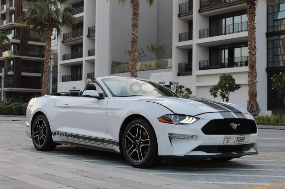 белый Форд
 Mustang EcoBoost Convertible V4 2019 for rent in Дубай 9