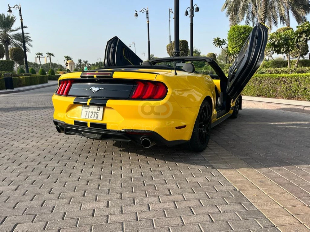 Sarı Ford Mustang EcoBoost Convertible V4 2019 for rent in Dubai 8
