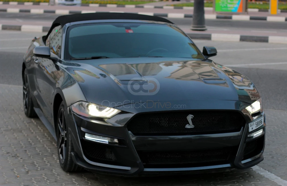 Gray Ford Mustang Shelby GT Convertible V8 2019 for rent in Sharjah 3