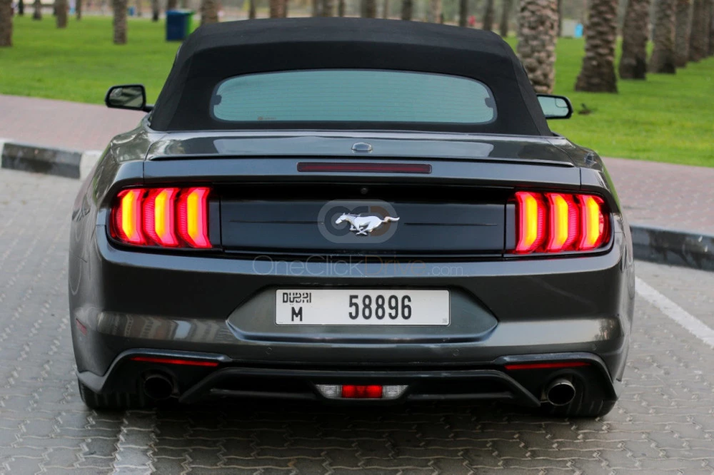 Gray Ford Mustang Shelby GT Convertible V8 2019 for rent in Sharjah 10