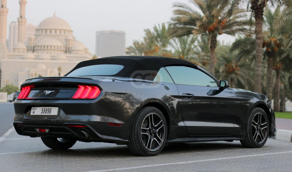 Gray Ford Mustang Shelby GT Convertible V8 2019 for rent in Sharjah 2