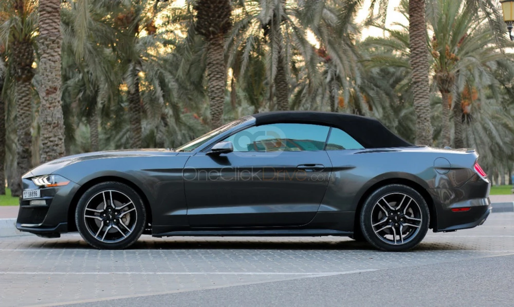 Gray Ford Mustang Shelby GT Convertible V8 2019 for rent in Sharjah 7