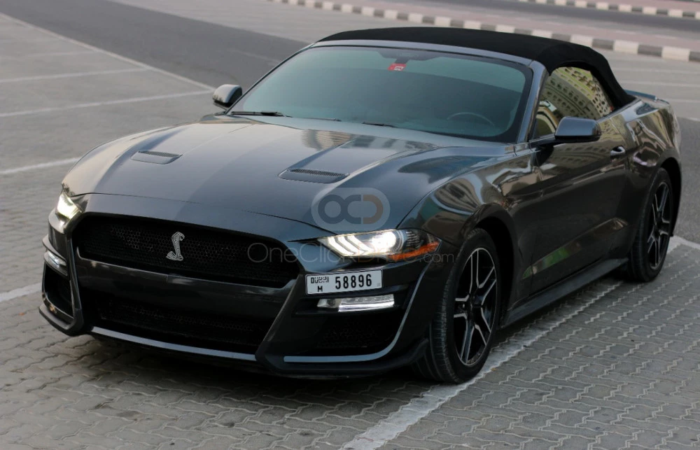 Gray Ford Mustang Shelby GT Convertible V8 2019 for rent in Sharjah 1