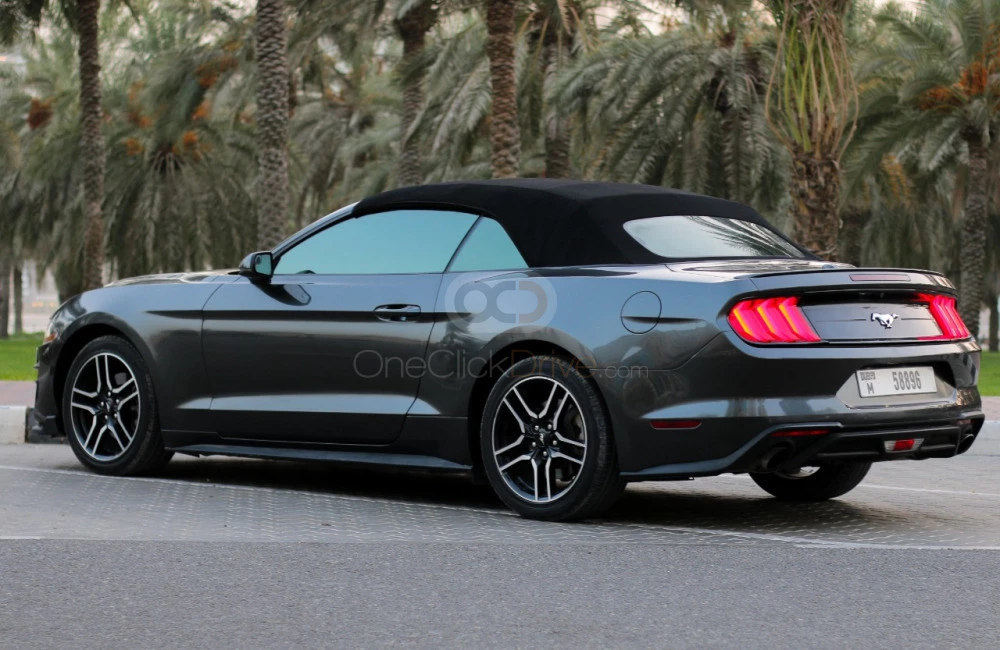 Gray Ford Mustang Shelby GT Convertible V8 2019 for rent in Sharjah 8