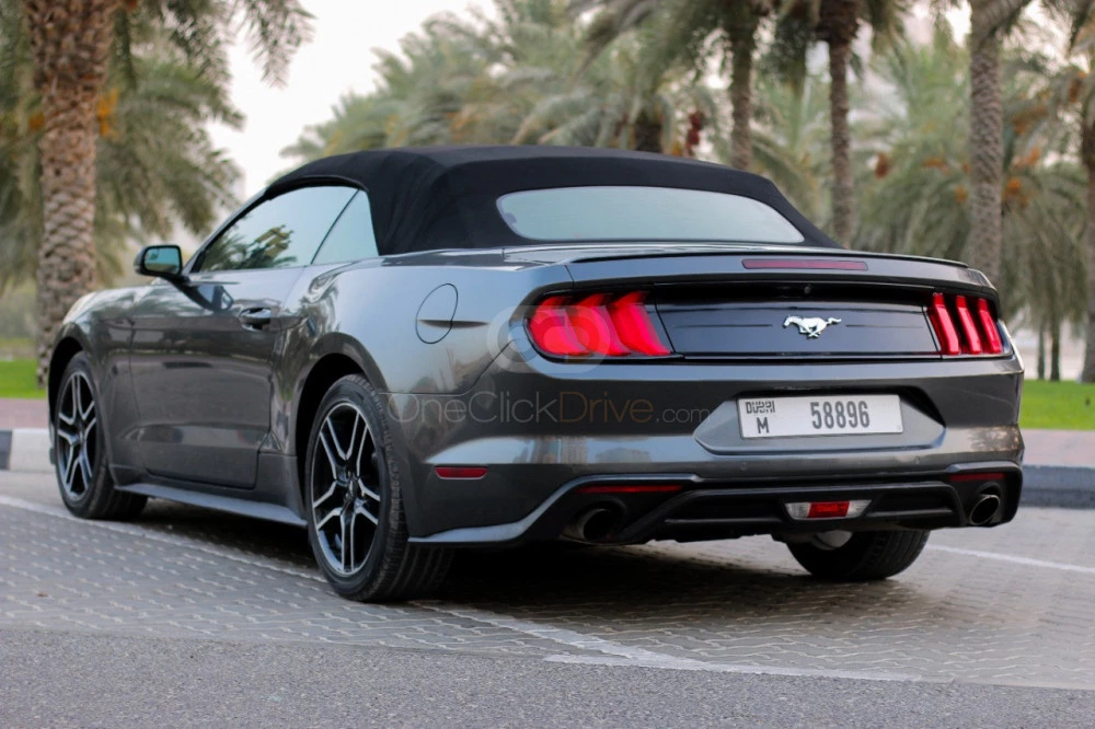 Gray Ford Mustang Shelby GT Convertible V8 2019 for rent in Sharjah 5