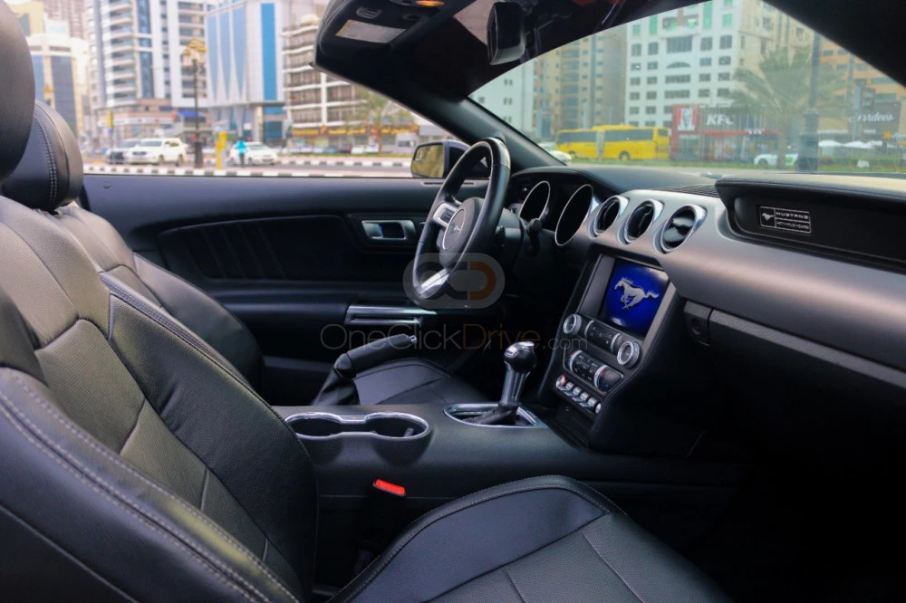 Gray Ford Mustang Shelby GT Convertible V8 2019 for rent in Sharjah 13