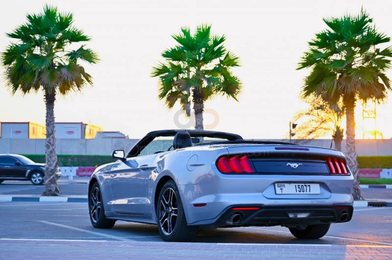 Silver Ford Mustang EcoBoost Convertible V4 2020 for rent in Dubai 6
