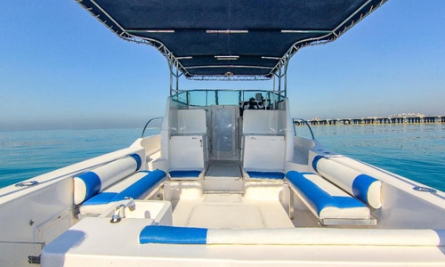 31 Feet Fishing Boat  Price in Dubai -  Hire Dubai - 31 Feet Fishing Boat Rentals