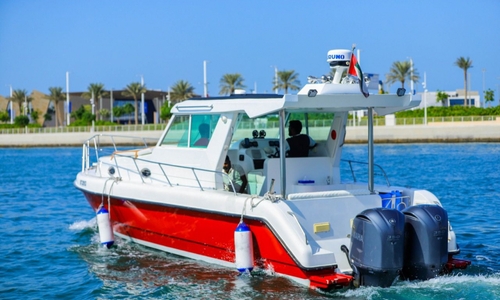 40 Feet Luxury Mini Yacht  Rentals in Dubai