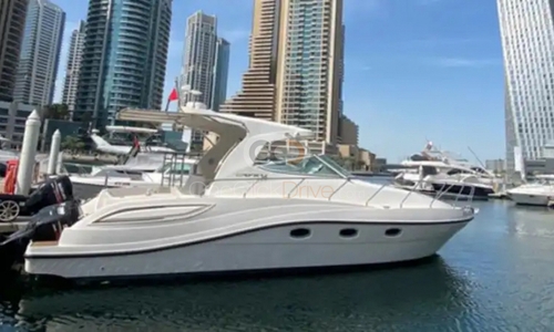 Gulf Craft 36 Ft  Rentals in Dubai